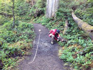 recreation trail assessment for bc parks