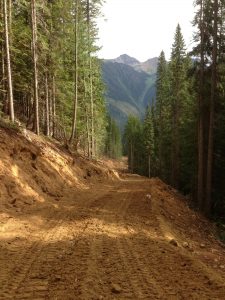 forestry road layout