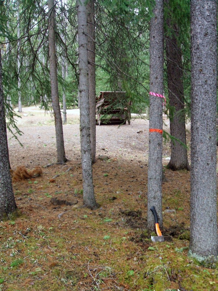 danger tree assessment