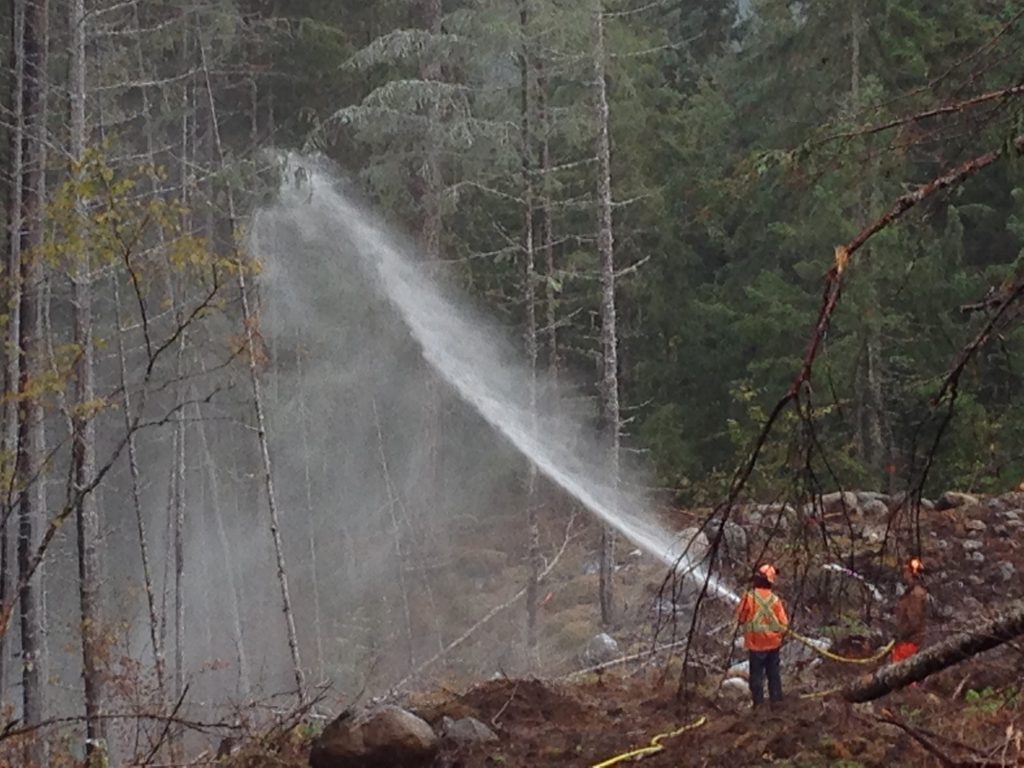 fire management