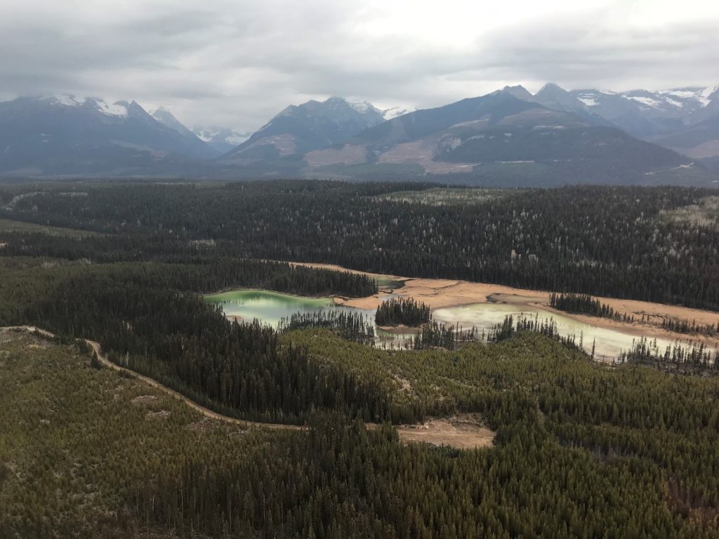 golden bc