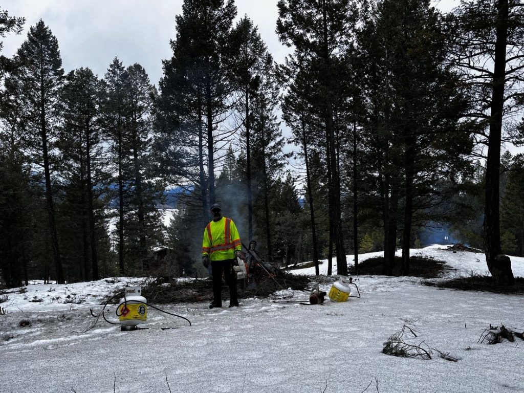 wildfire fuel mitigation